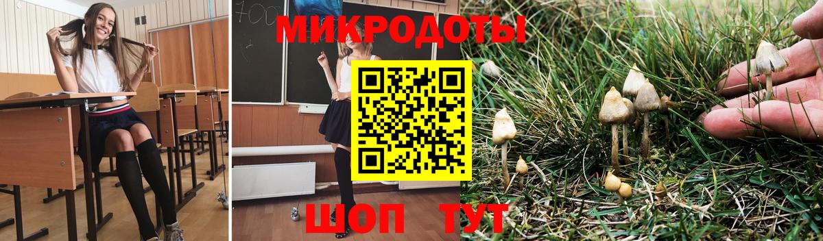 Галлюциногенные грибы Cubensis Россия