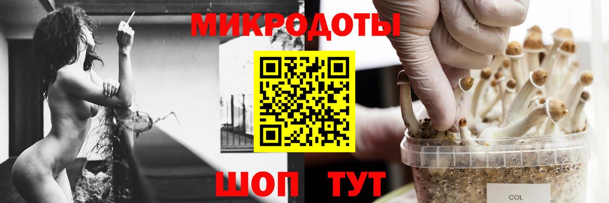 Галлюциногенные грибы ЛСД  Россия 